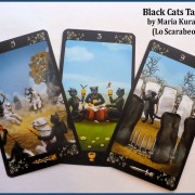 The Black Cats Tarot Deck 3