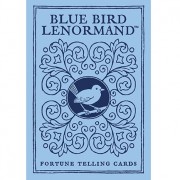 Blue Bird BOX-darker