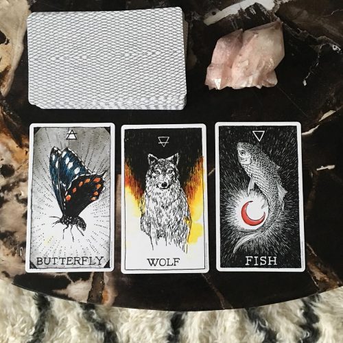 Animal Spirit Deck 5