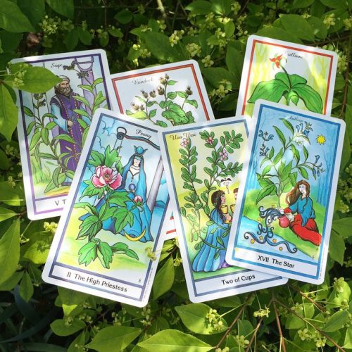 The Herbal Tarot