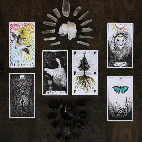 The Wild Unknown Tarot Keepsake Box Set