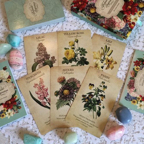 Botanical Inspirations Deck & Book Set