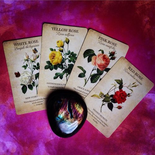 Botanical Inspirations Deck & Book Set