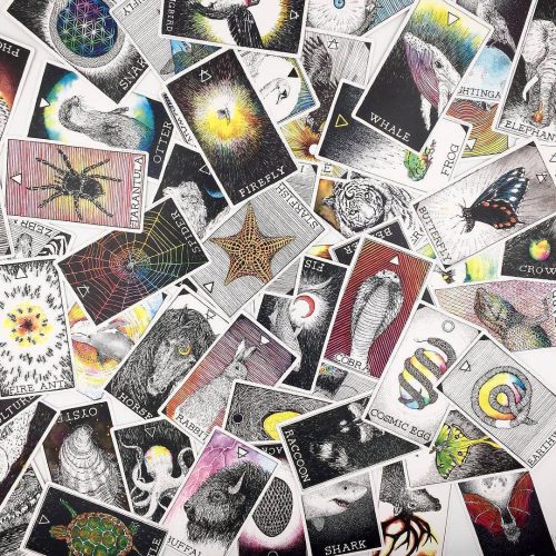 Animal Spirit Boxset