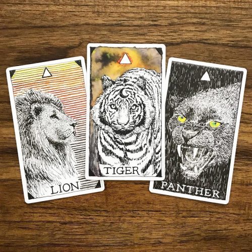 Animal Spirit Boxset