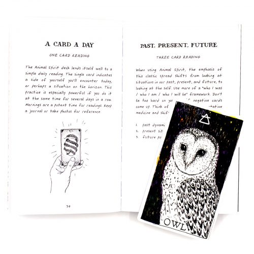 Animal Spirit Boxset