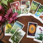 The Herbcrafters Tarot 4