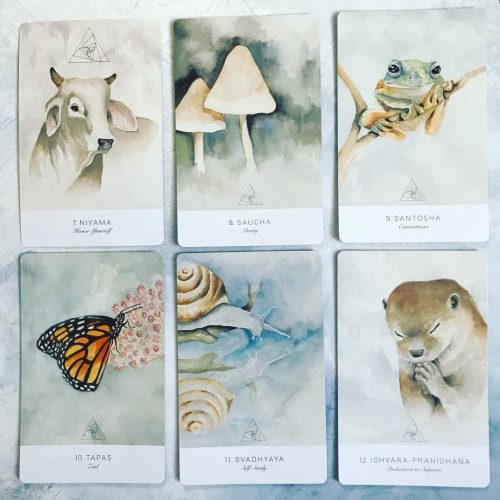 The Land Sky Oracle