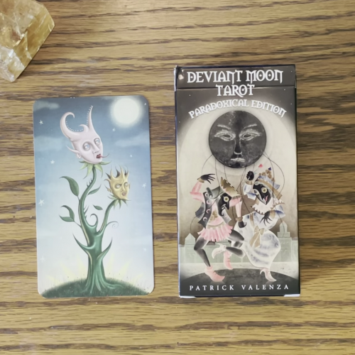Deviant Moon Tarot Paradoxical Edition