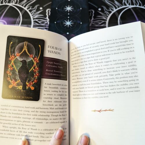 Orien's Animal Tarot