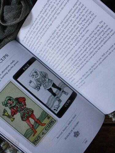 Dark Side of Tarot Kit